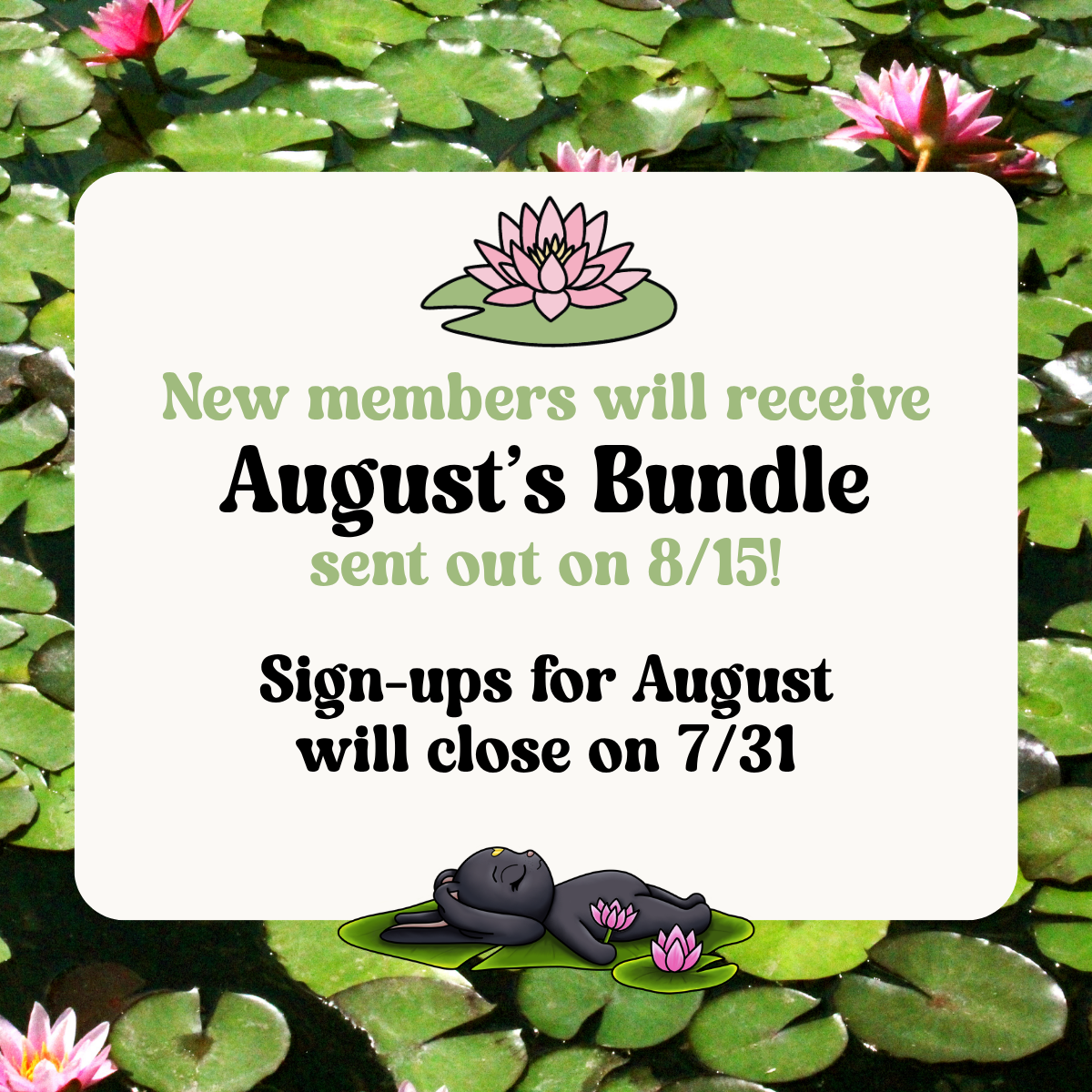 A white rounded rectangle over a pond background of green lily pads and pink water lilies. Text reads: 'New members will receive August’s Bundle sent out on 8/15! Sign-ups for August will close on 7/31.